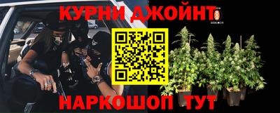 PSILOCYBIN Кулебаки