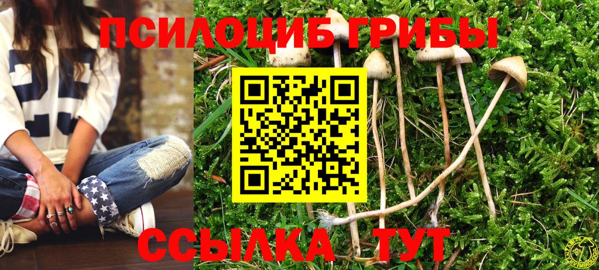 Псилоцибиновые грибы Psilocybe  Галлюциногенные грибы Psilocybe  Вход с VPN  Долгопрудный 