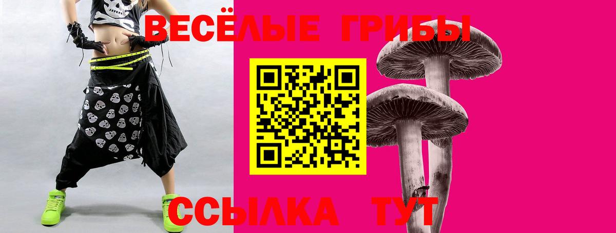 Галлюциногенные грибы мухоморы Долгопрудный